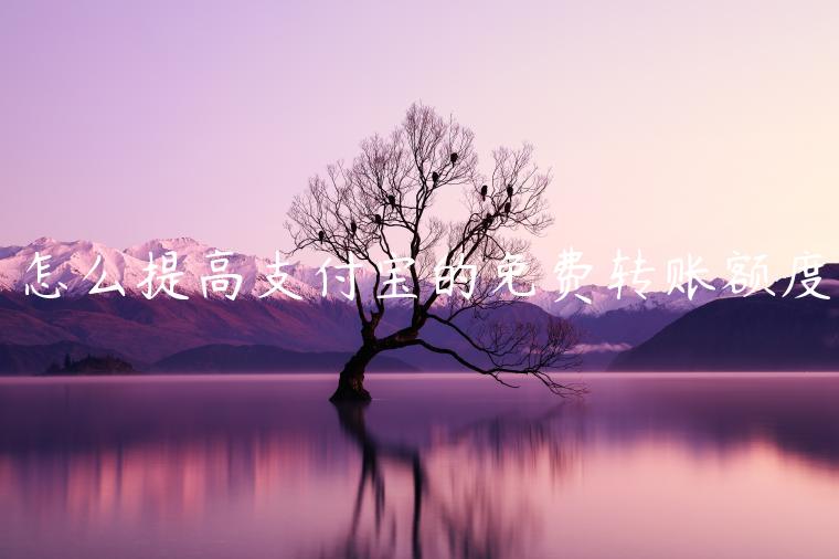 怎么提高支付寶的免費轉(zhuǎn)賬額度